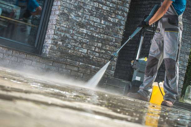 Best Animal Enclosure Cleaning  in Midway South, TX